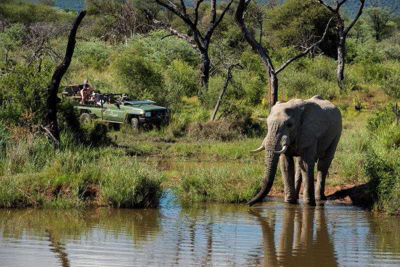 Marakele National Park Marataba Safari Lodge المظهر الخارجي الصورة